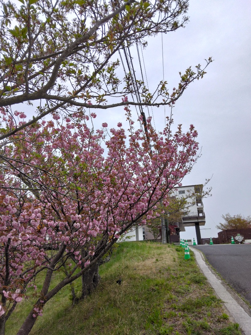 ふくいのヲタまさんの神戸天空温泉 銀河の湯のサ活写真