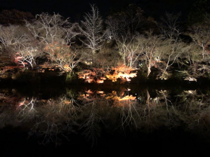 フゴ太郎さんの御船山楽園ホテル  らかんの湯のサ活写真