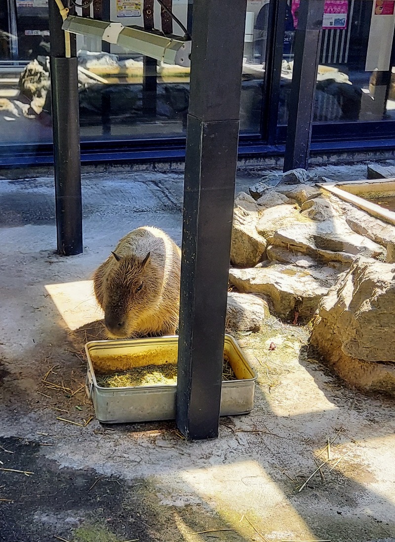 アキネクトさんの石狩天然温泉 番屋の湯のサ活写真