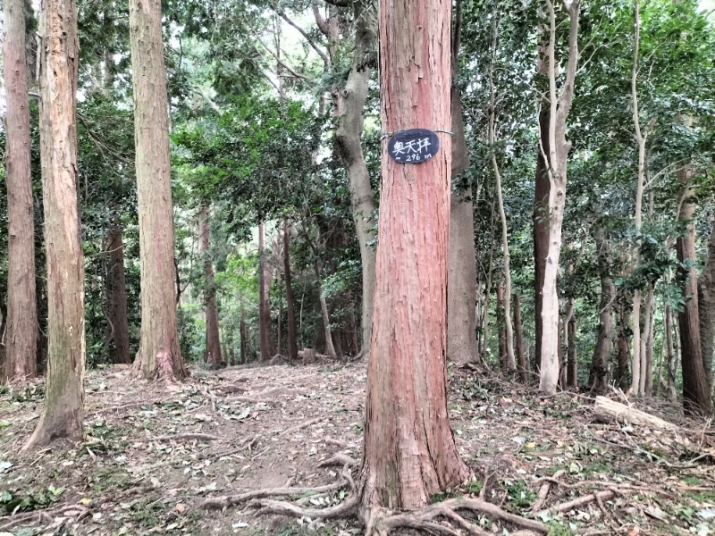 ヤマネコさんの筑紫野 天拝の郷のサ活写真