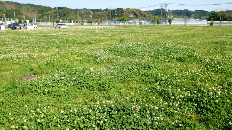 ダグさんの源泉掛け流し温泉 妻湯のサ活写真