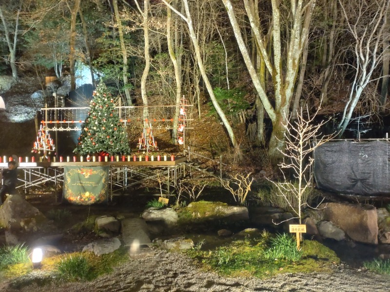 ShibaShin@Saunaさんの天然温泉 三峰のサ活写真