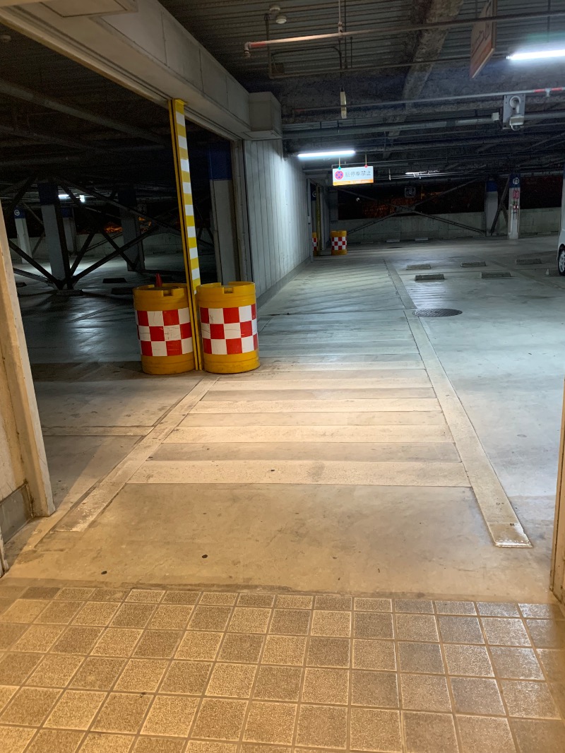 FatPenguinesさんのヨコヤマユーランド緑のサ活写真