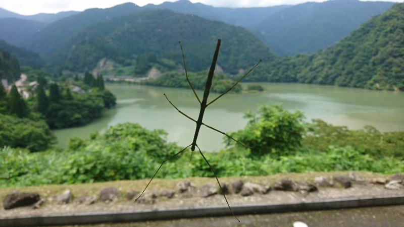 381さんの平ふれあい温泉センター ゆ〜楽のサ活写真