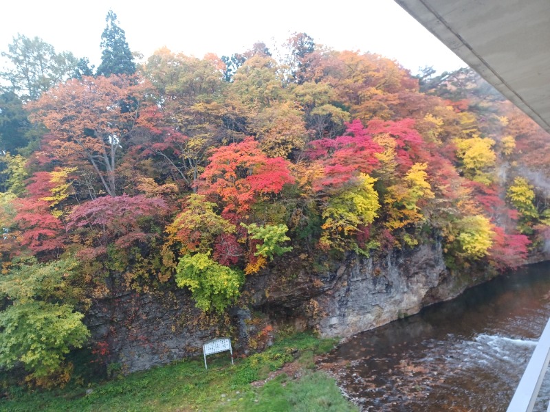 Hashigo no Takahashiさんの湯の杜 ホテル志戸平のサ活写真