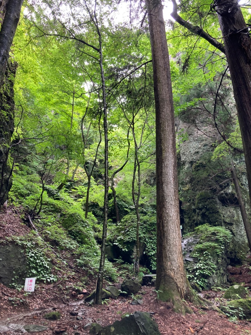 brisutoさんの小野上温泉 ハタの湯のサ活写真