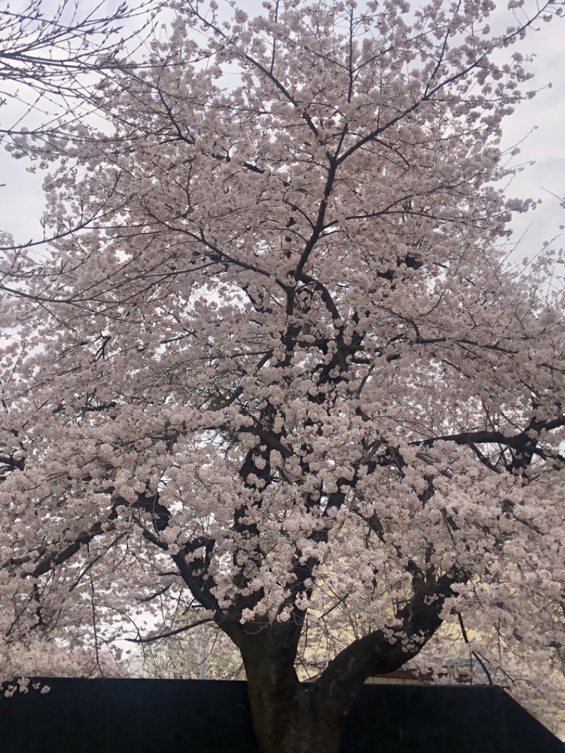 ゆーたんさんの小山思川温泉のサ活写真