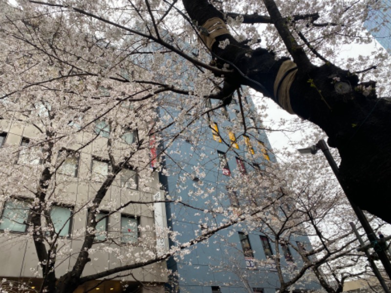 サリーさんの渋谷SAUNASのサ活写真