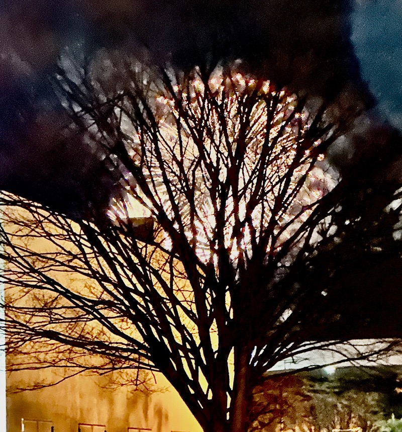 クッキーさんのメディカルフィットネス+スパ ラ・ヴィータのサ活写真