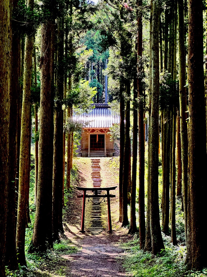 クッキーさんの金浦温泉・学校の栖のサ活写真