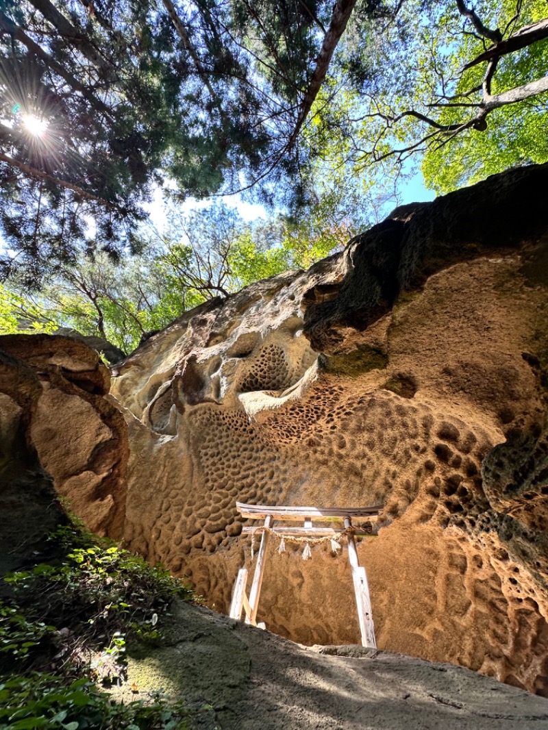 クッキーさんの水沢温泉館のサ活写真