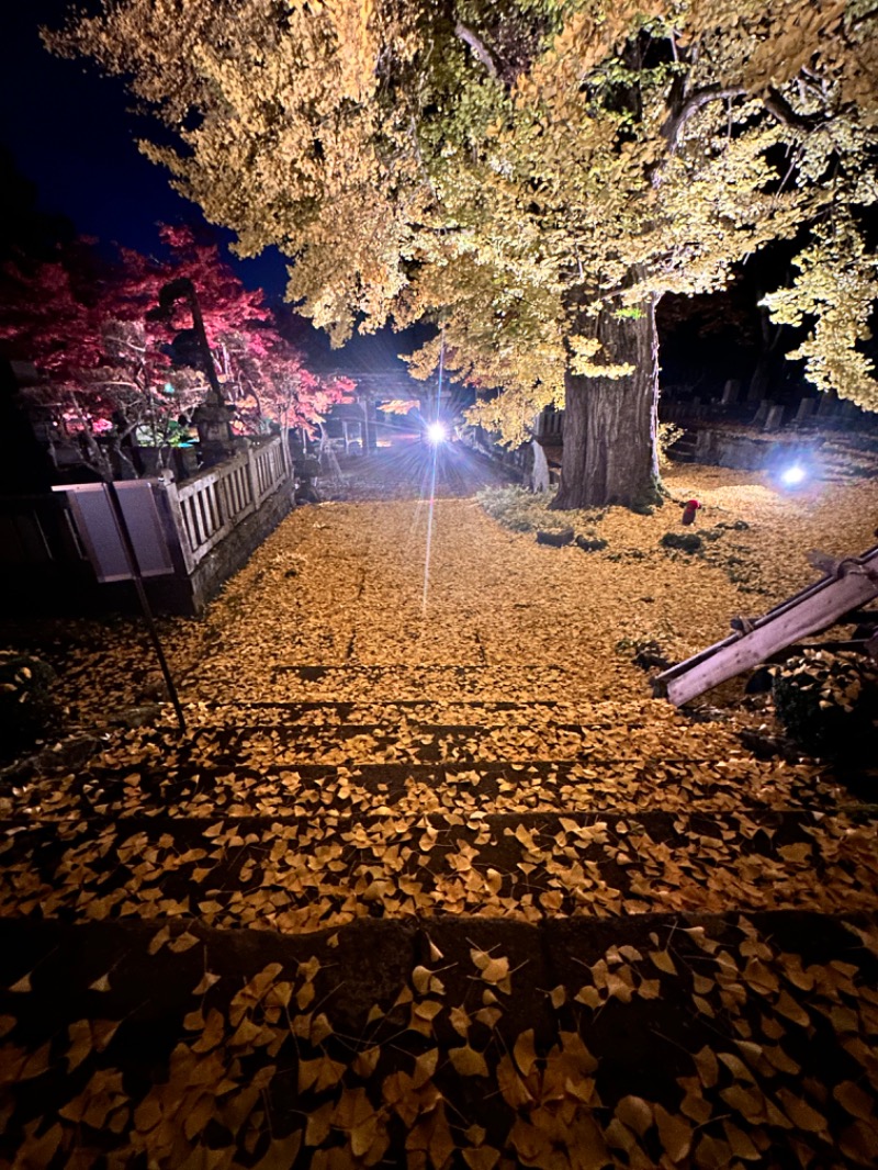 クッキーさんの高畠町太陽館のサ活写真