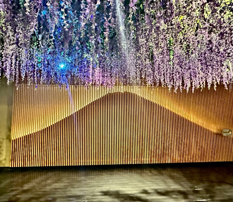 クッキーさんの木の花の湯(HOTEL CLAD)のサ活写真