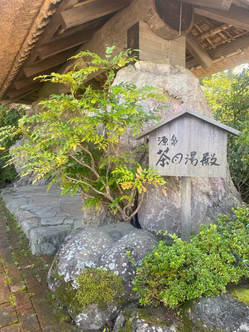 はむさんの御殿場高原 天然温泉 茶目湯殿のサ活写真