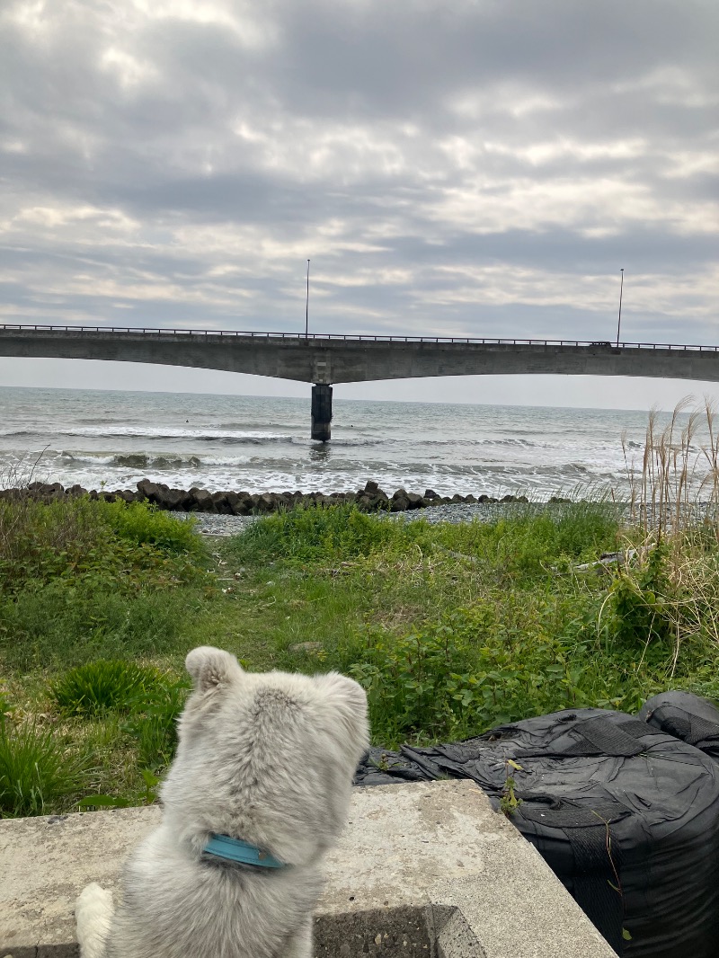 ぐるん² 37さんの湯楽の里 日立店のサ活写真