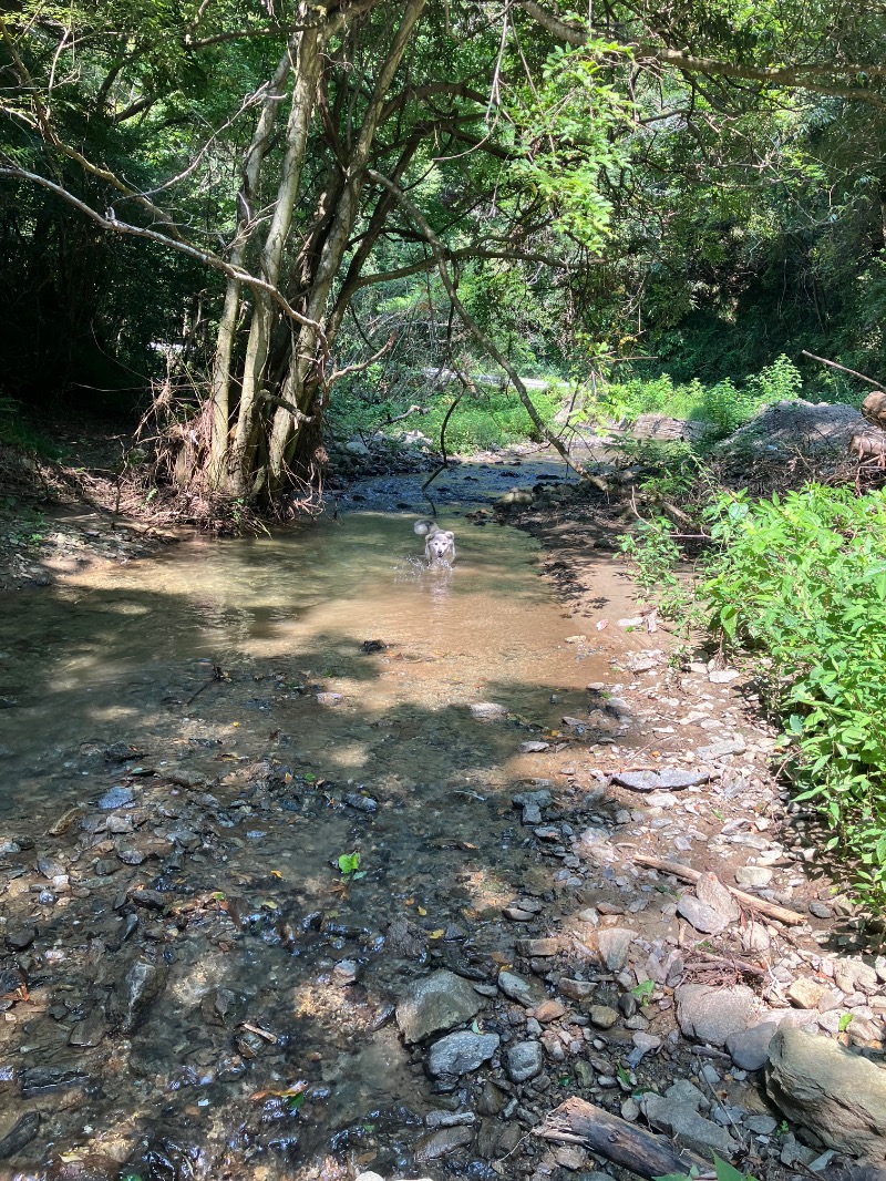 ぐるん² 37さんの湯楽の里 日立店のサ活写真