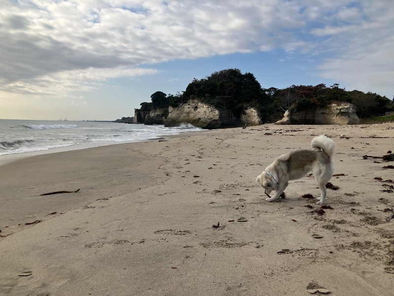 ぐるん² 37さんのひたちなか温泉 喜楽里別邸のサ活写真