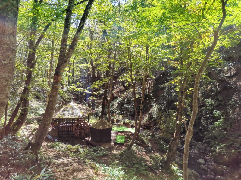 ニンギョさんの八東ふる里の森のサ活写真