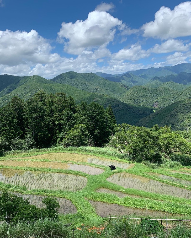 ちーこさんの天空のリゾート 四季 SHIOSAI TERRACEのサ活写真