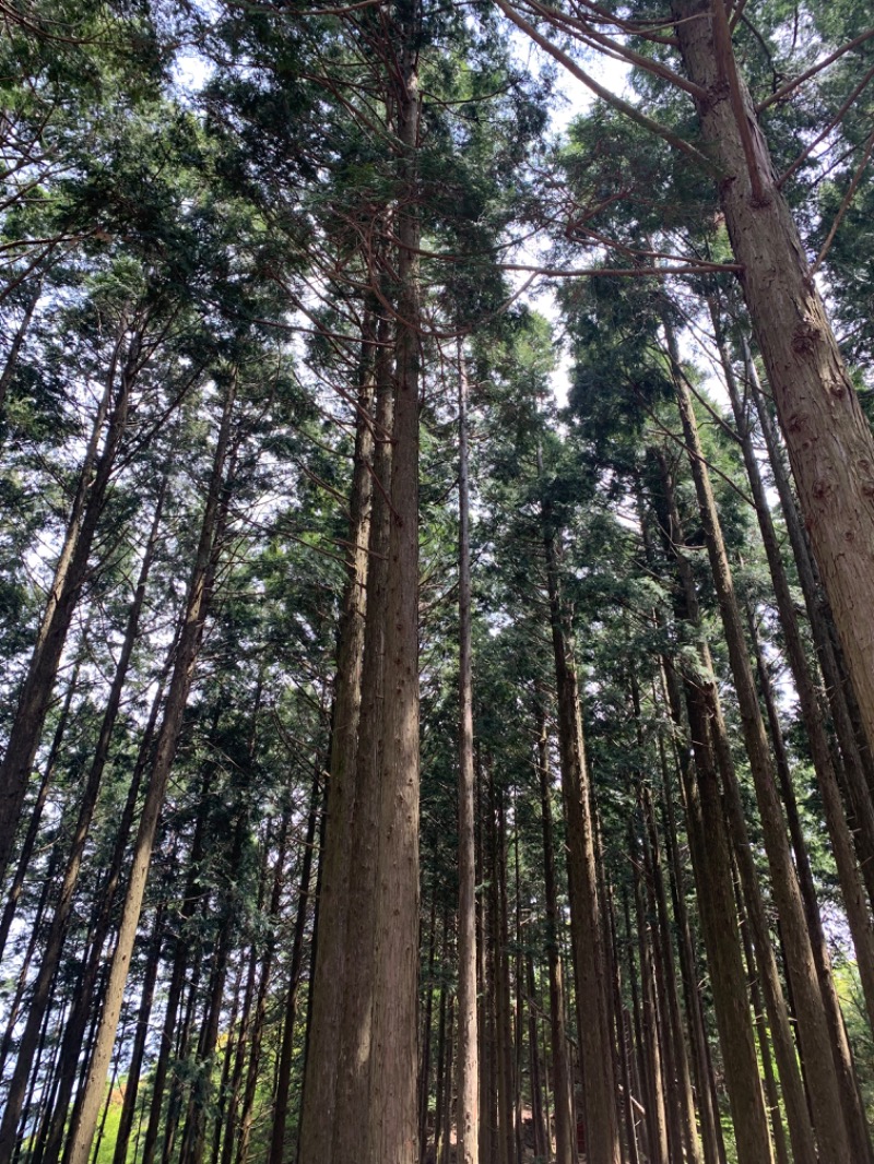 ちーこさんのとれとれの湯のサ活写真