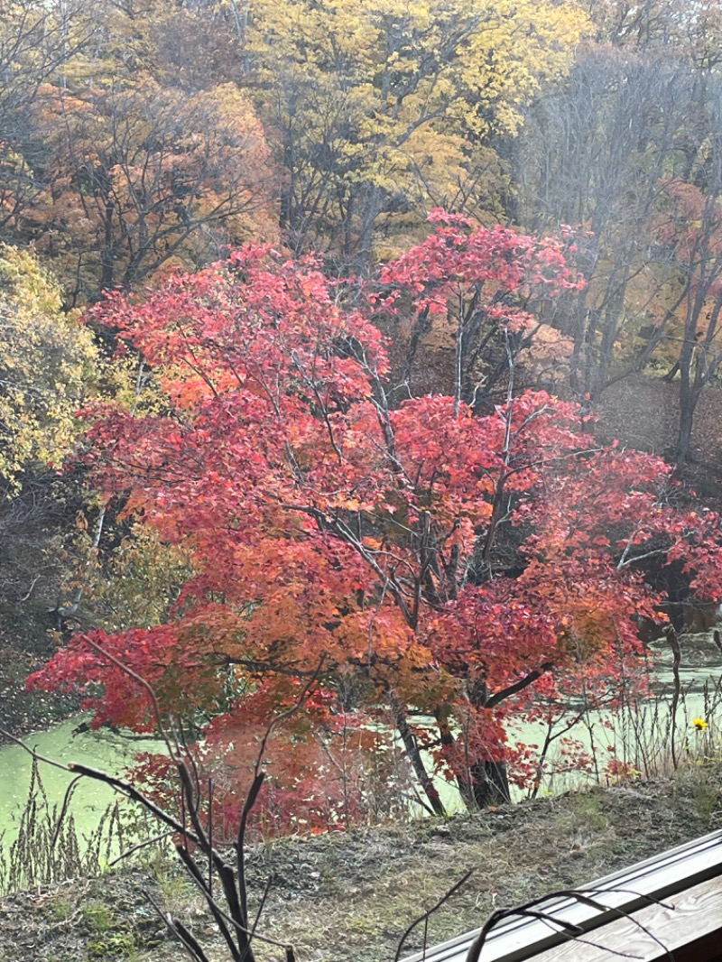 ウンナーさんの里の森 森のゆのサ活写真