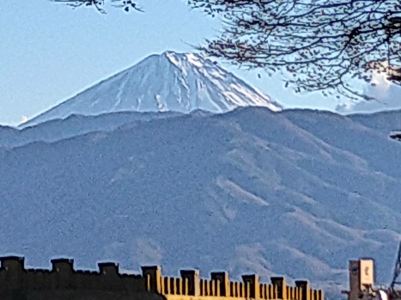 Gunsyuさんの石和健康ランドのサ活写真