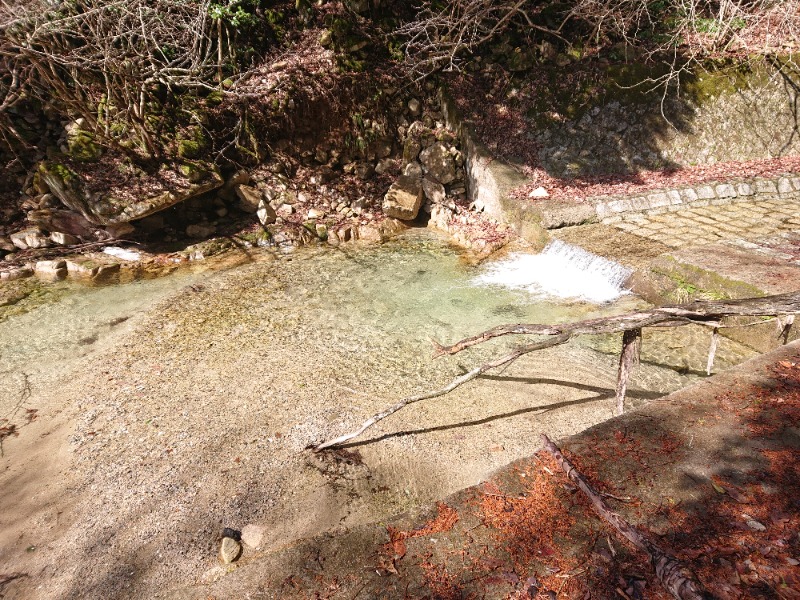 タカサン@野良熱波 個々虎さんのちどり湯のサ活写真