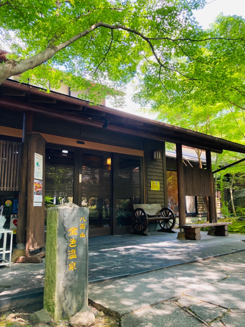 藤井　凪さんの八面山金色温泉のサ活写真