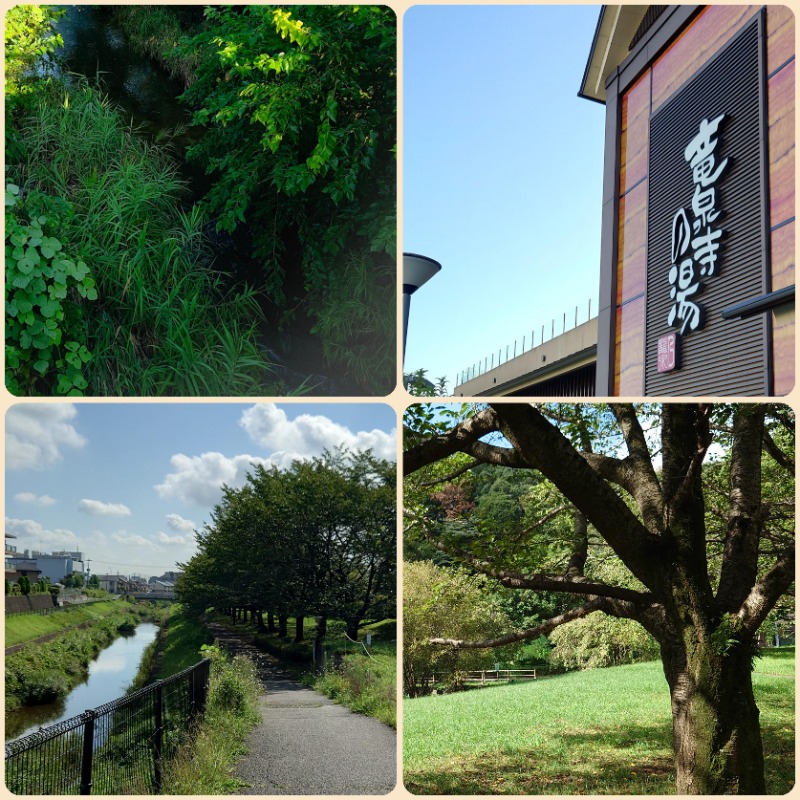 湯さんの竜泉寺の湯 八王子みなみ野店のサ活写真