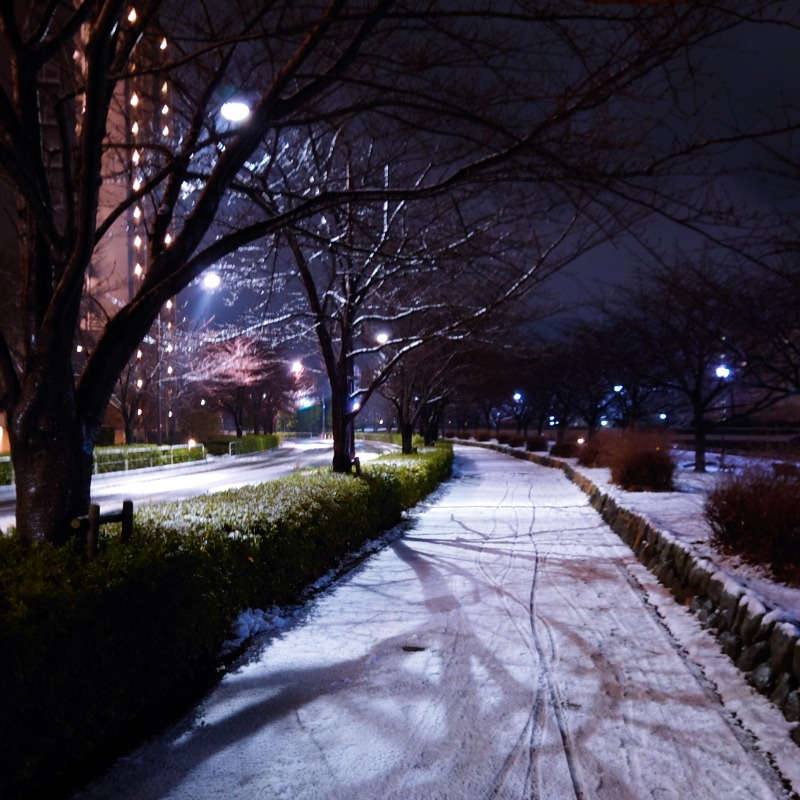 湯さんのSmart Stay SHIZUKU 上野駅前のサ活写真