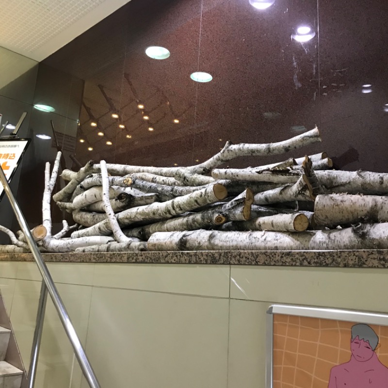 Finnish HCさんのサウナ&カプセルホテルレインボー本八幡店のサ活写真