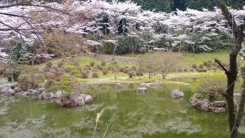 ｸｲｯｸ_ｸｴﾝﾁさんの本谷温泉館のサ活写真