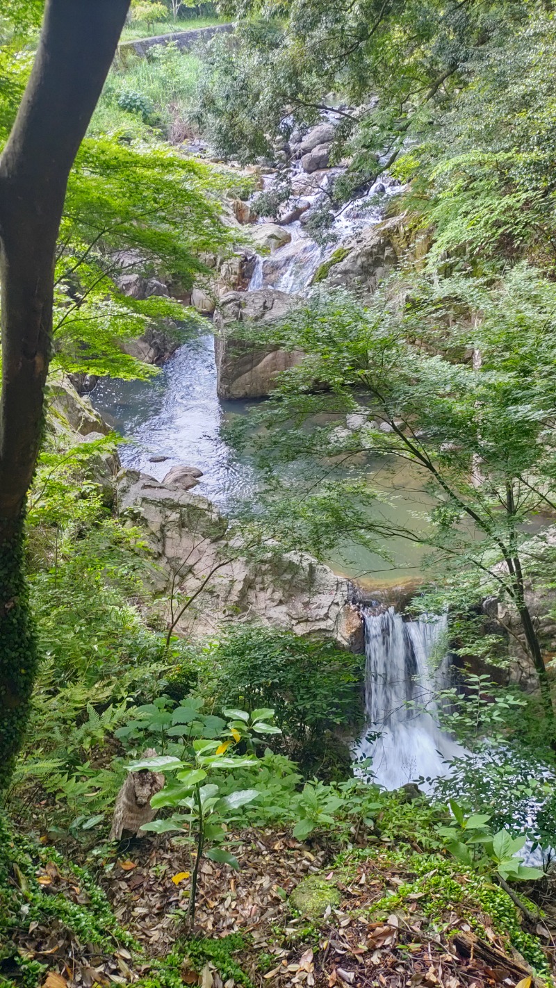 ｸｲｯｸ_ｸｴﾝﾁさんの東温市ふるさと交流館さくらの湯のサ活写真