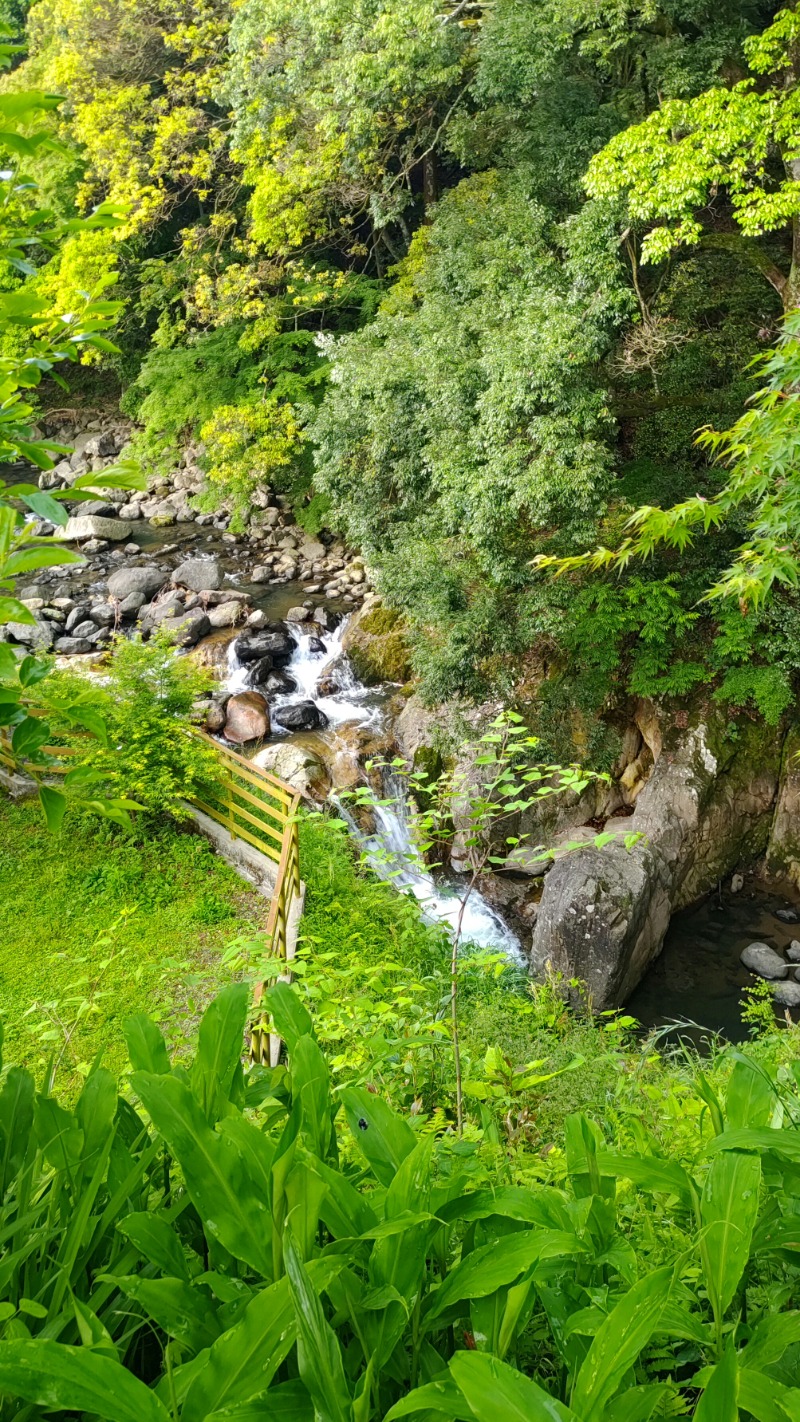 ｸｲｯｸ_ｸｴﾝﾁさんの東温市ふるさと交流館さくらの湯のサ活写真