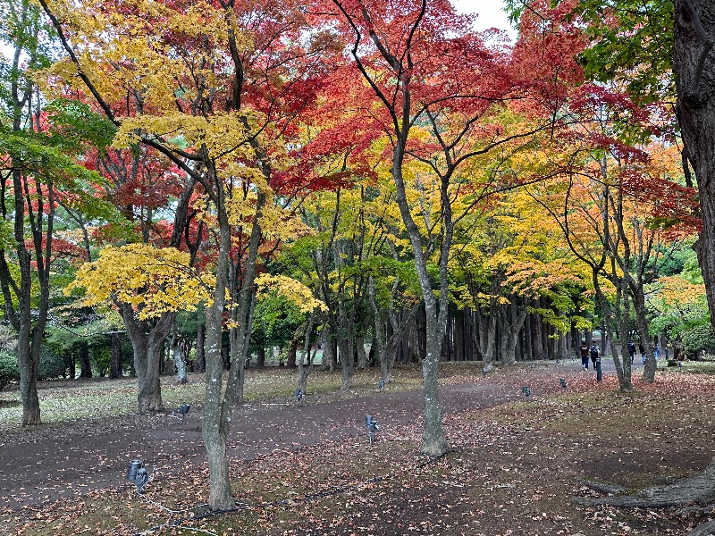 ZukasaさんのHOTEL&SPA センチュリーマリーナ函館のサ活写真