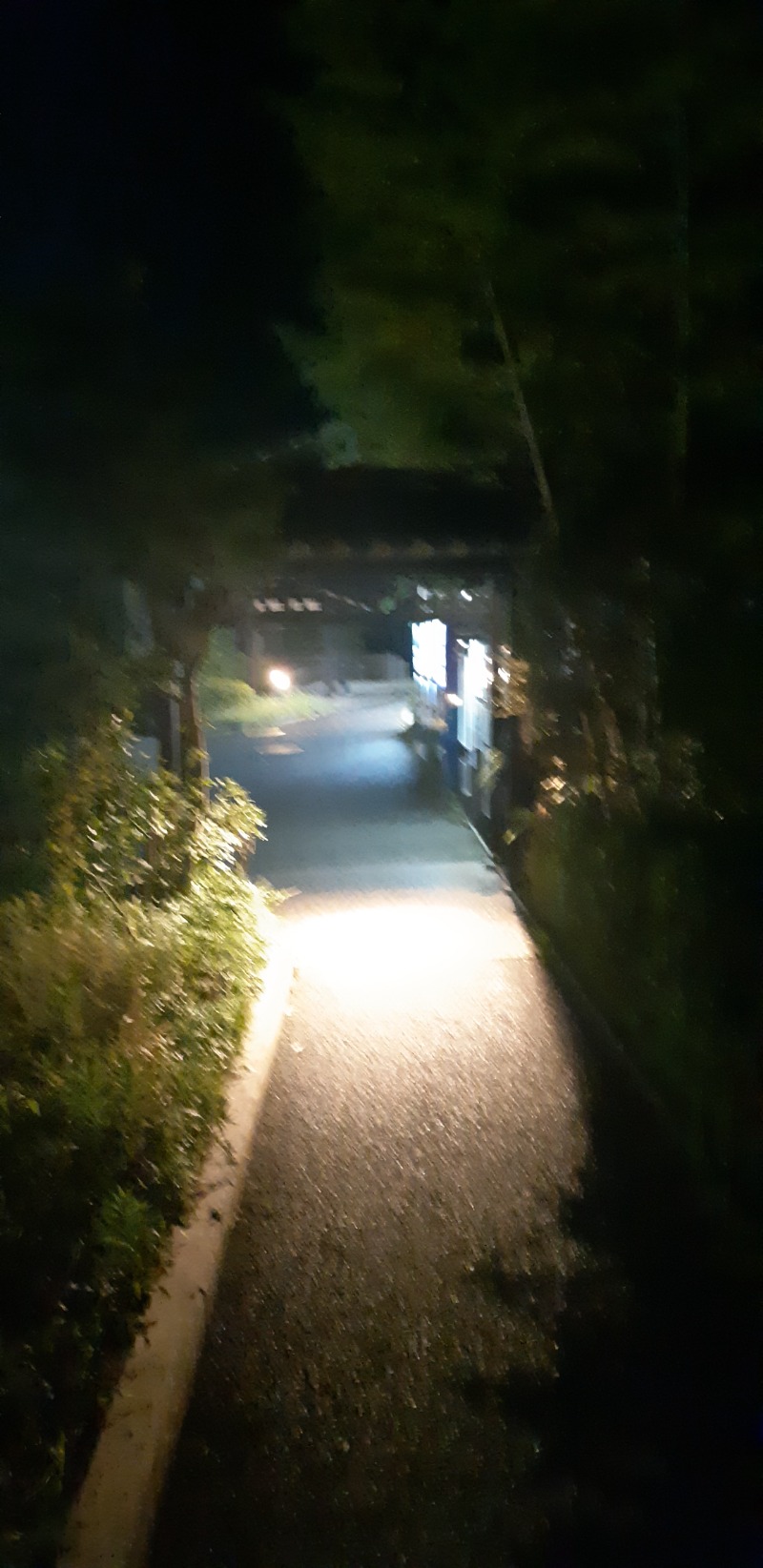 TTDさんの天然温泉 森のせせらぎ なごみのサ活写真