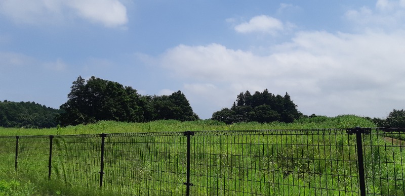 TTDさんの小美玉温泉 湯～GO!のサ活写真