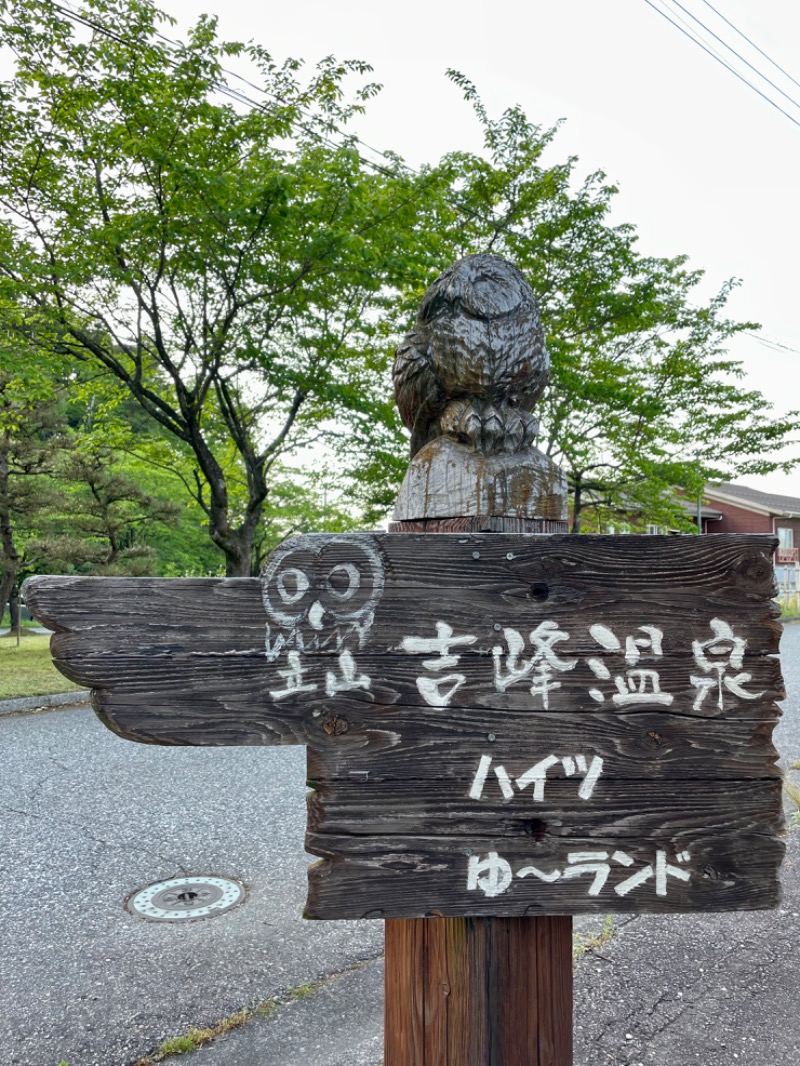 こめさんのグリーンパーク吉峰・ゆーランドのサ活写真