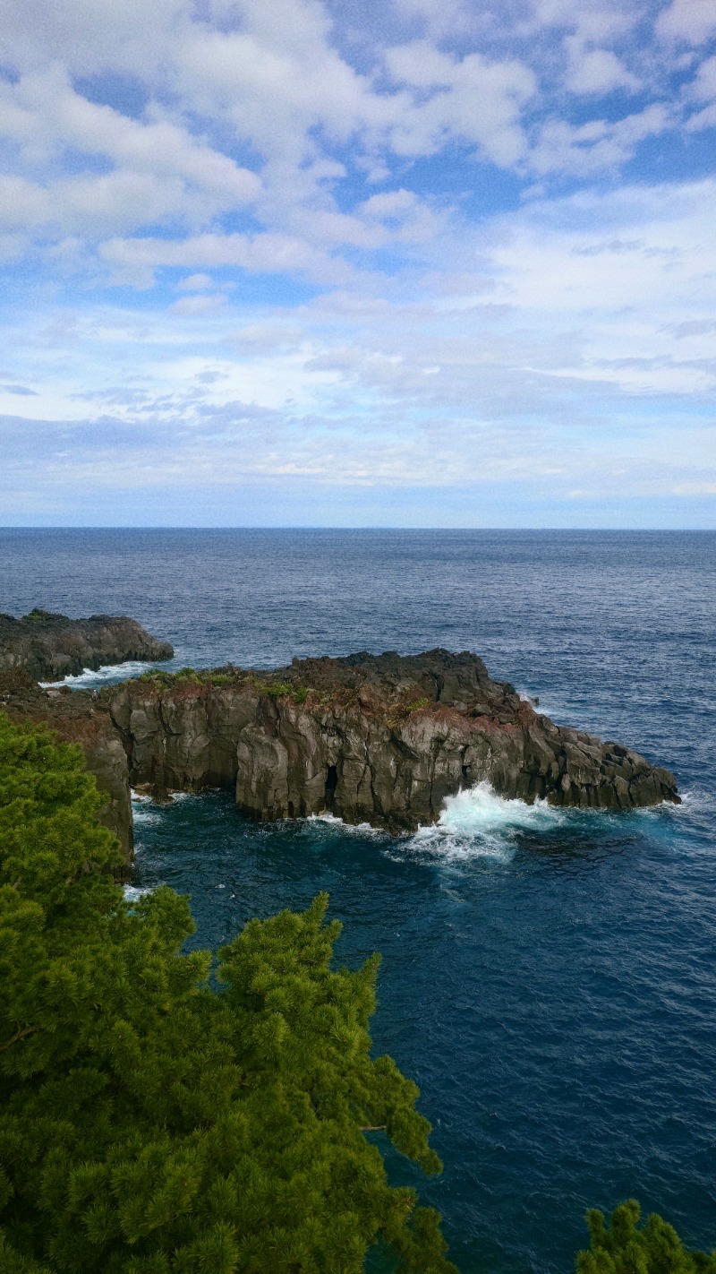 らいぴーたろさんの立ち寄り温泉 伊豆高原の湯のサ活写真