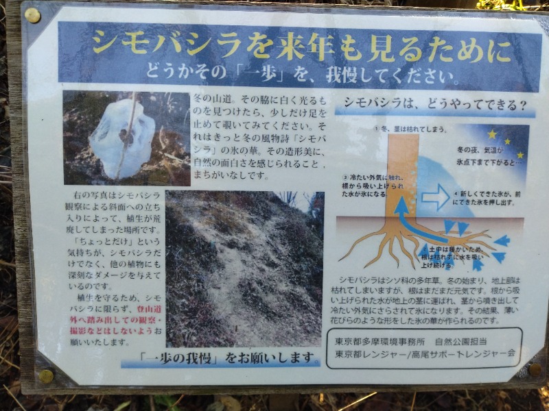 耳目さんの京王高尾山温泉 極楽湯のサ活写真