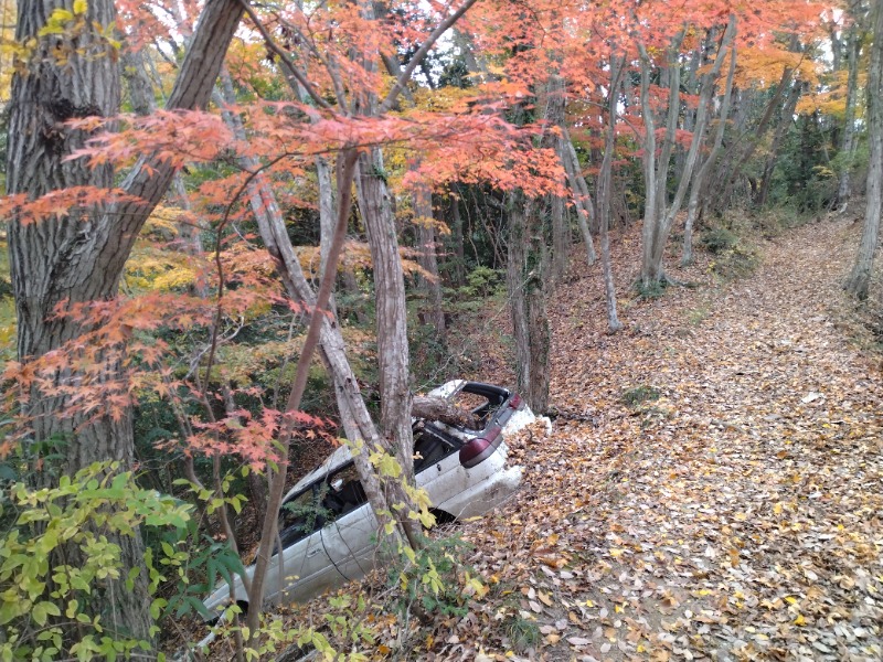 耳目さんの藤野やまなみ温泉のサ活写真