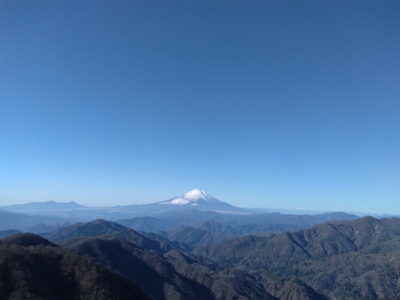 耳目さんの秦野天然温泉 さざんかのサ活写真