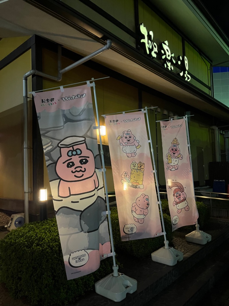 あいさんの極楽湯 柏店のサ活写真