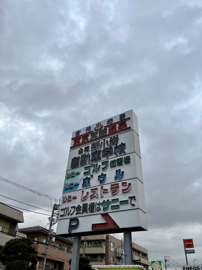 あいさんの東京天然温泉 古代の湯のサ活写真