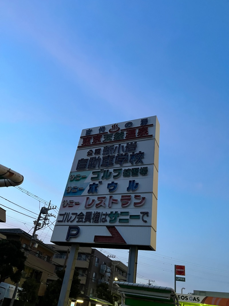 あいさんの東京天然温泉 古代の湯のサ活写真