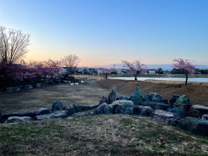 あいさんの花湯スパリゾートのサ活写真