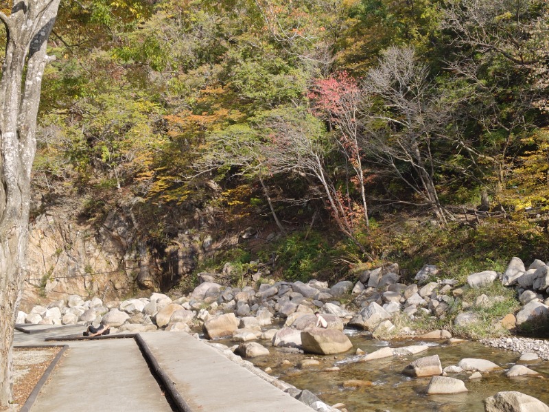 異国のTOPおっさんさんのMARUMORI-SAUNAのサ活写真