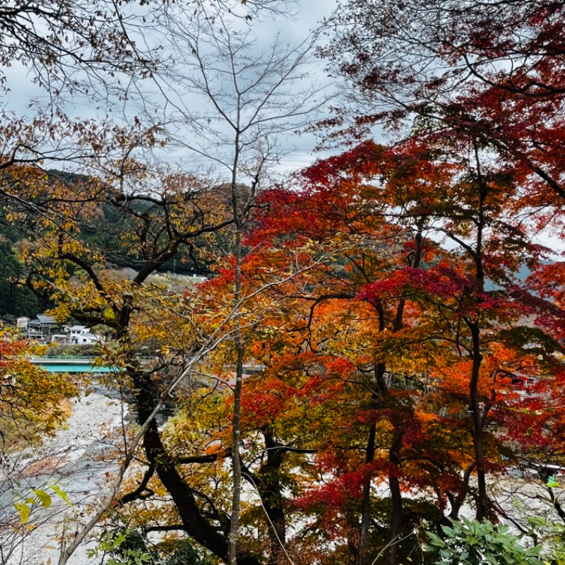 蒸うるりさんの秋川渓谷 瀬音の湯のサ活写真