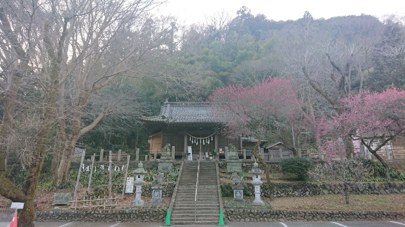 まささんの京王高尾山温泉 極楽湯のサ活写真