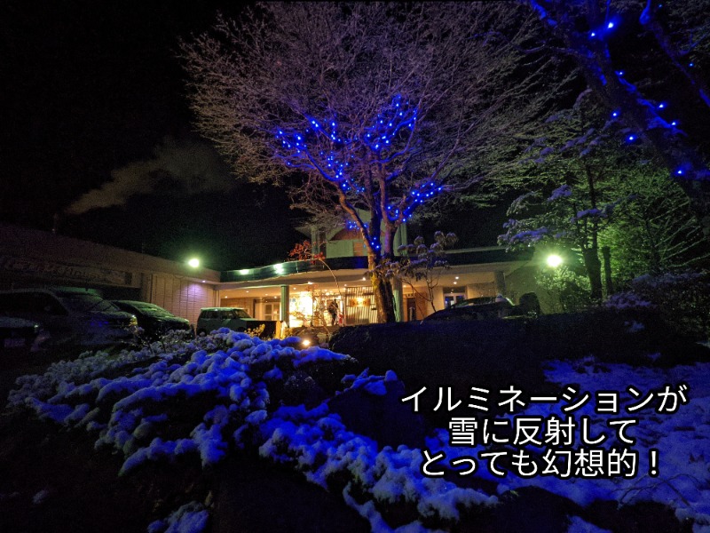 粗塩さんの飛騨高山 自家源泉の湯 臥龍の郷のサ活写真